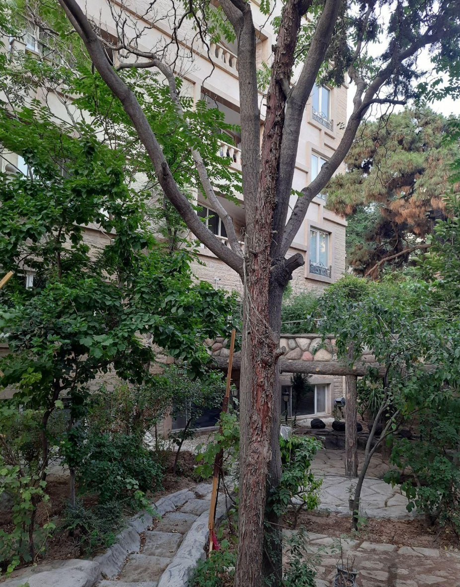 اجاره آپارتمان 160 متر فرمانیه سه خواب تاپ لوکیشن