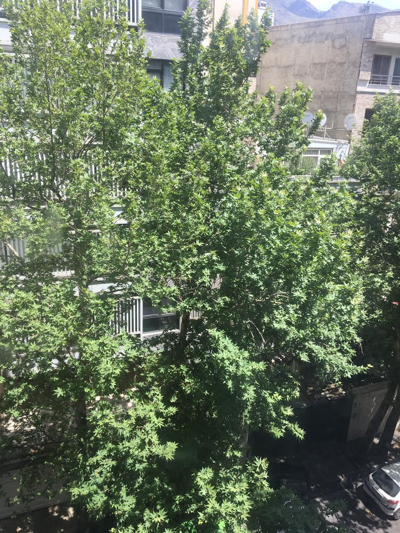 فروش آپارتمان ۱۰۵ متر پارک قیطریه