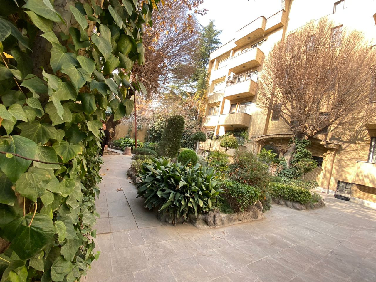 اجاره آپارتمان 230 متر قلهک