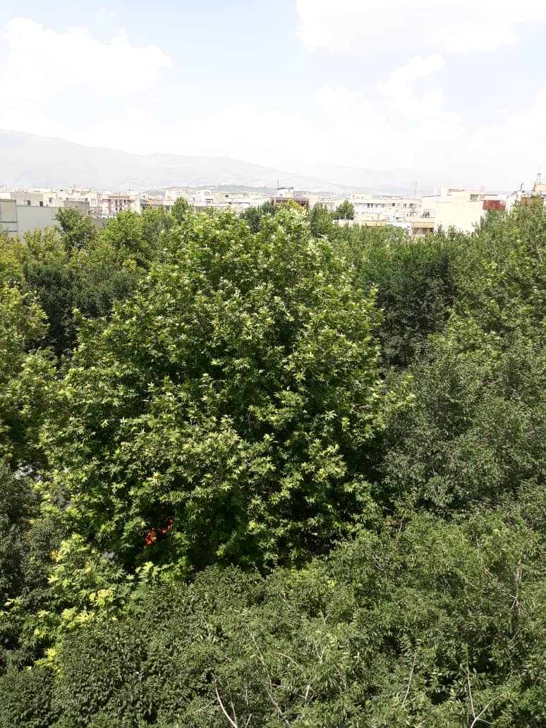 فروش اپارتمان 115 متر هفت حوض سه خواب غرق در نور خوش نقشه