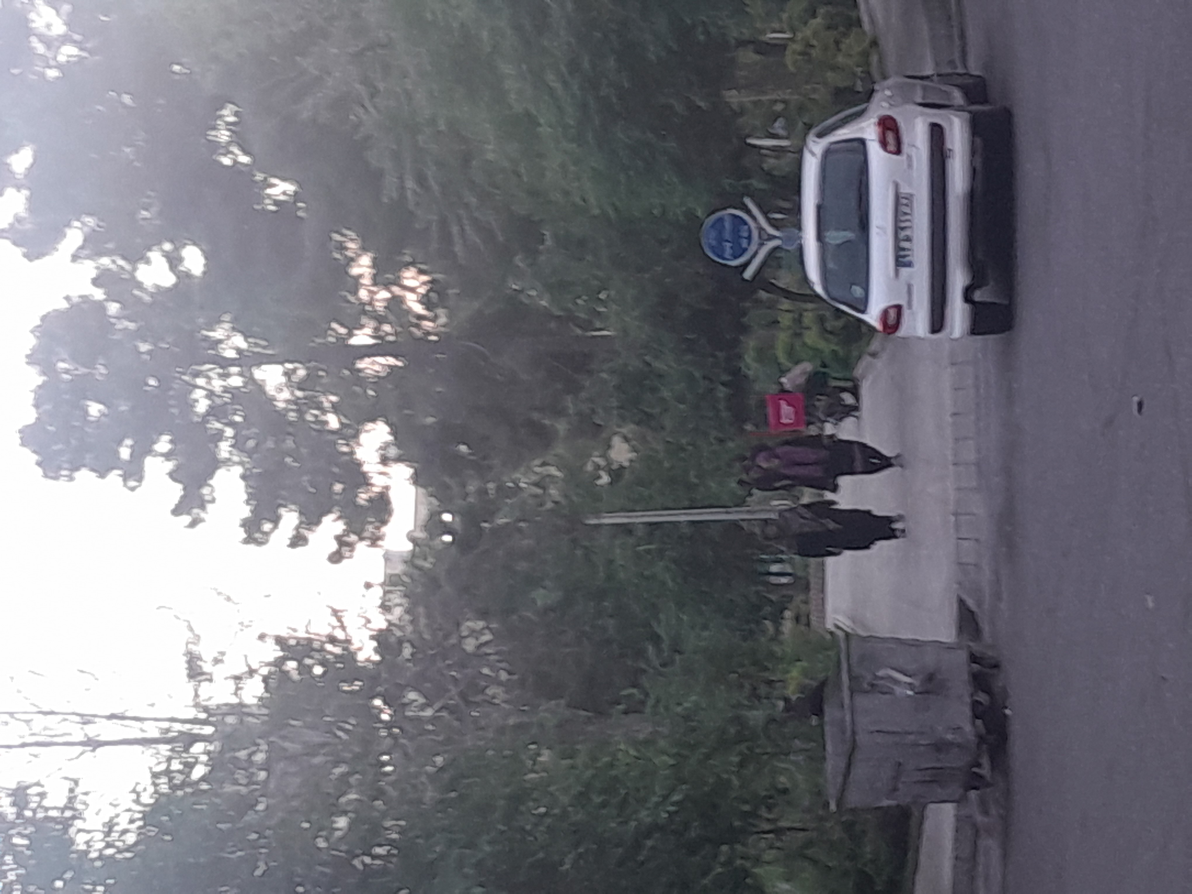 اجاره آپارتمان 110متر دردشت 2خواب فول