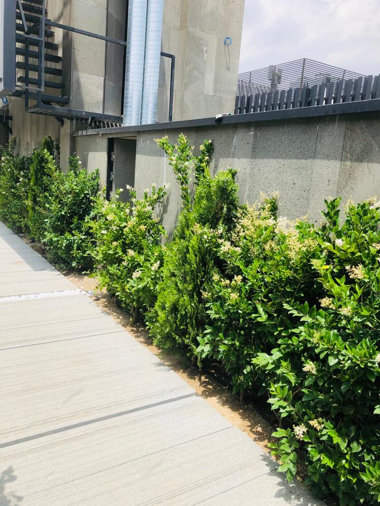 اجاره اداری 200متر اندرزگو