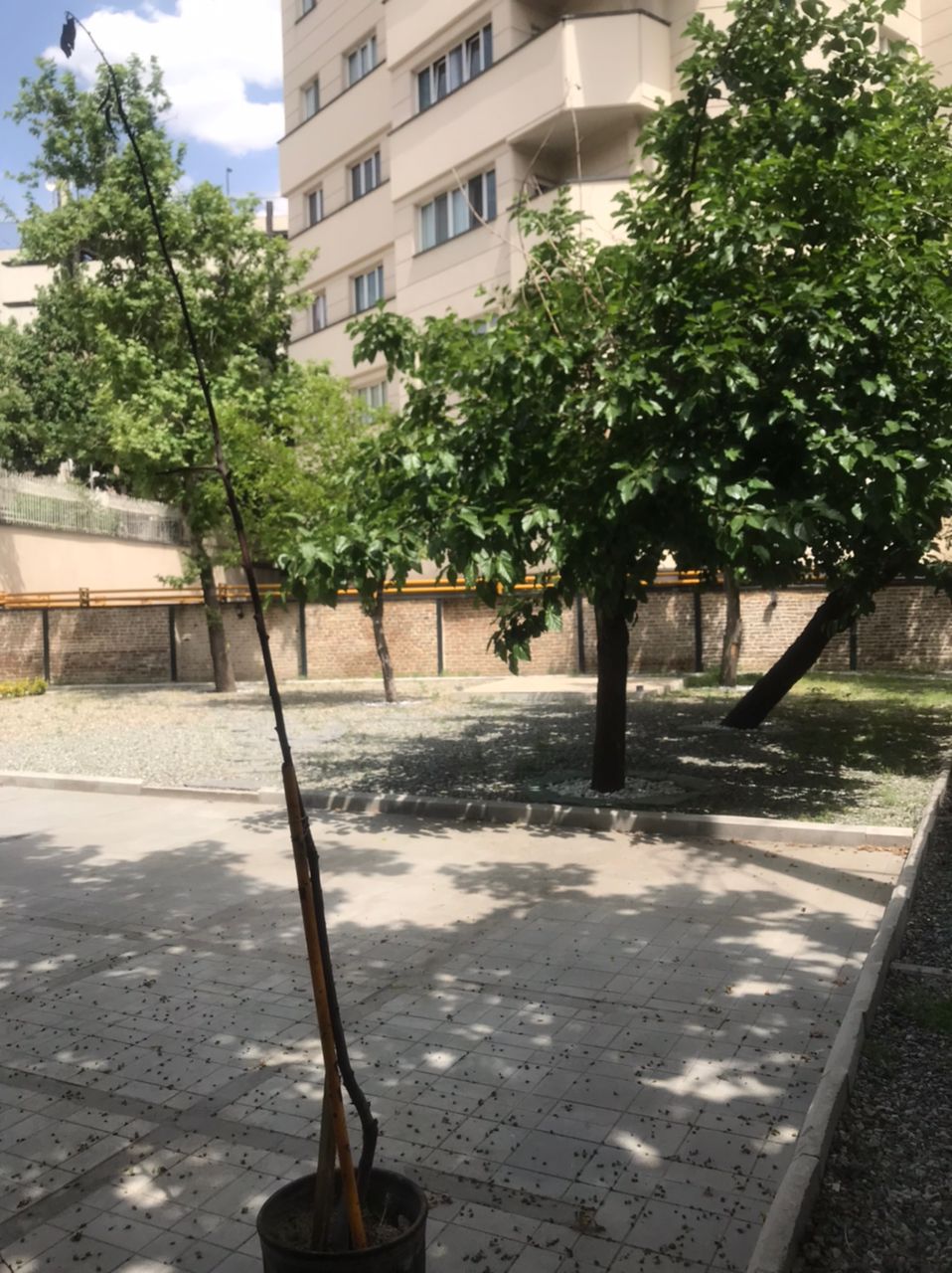 اجاره ویلایی